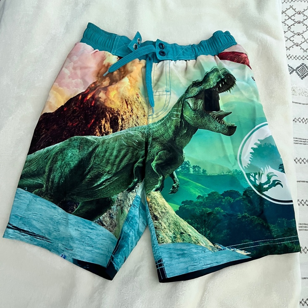 Boys Jurassic world bathing suit